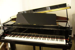 Kawai GL-30 Flügel