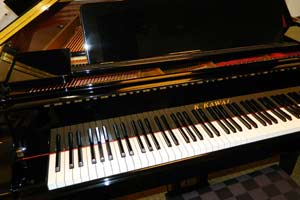 KAWAI GE-20